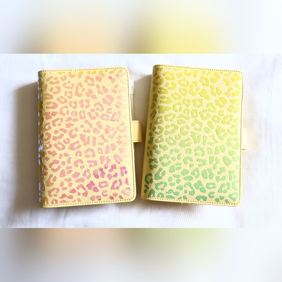 Budget Binder / Cash Stuffing / Leopard / Ombre / Cash Envelopes / Money Saving - Picture 6 of 6